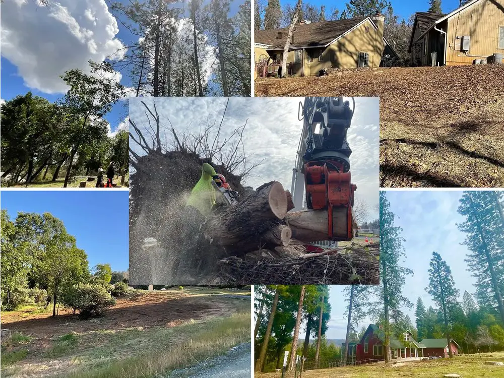 Hargos Land Management - Tree Service